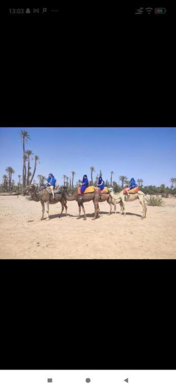 Dar Hiba Apartment Marrakesh Luaran gambar